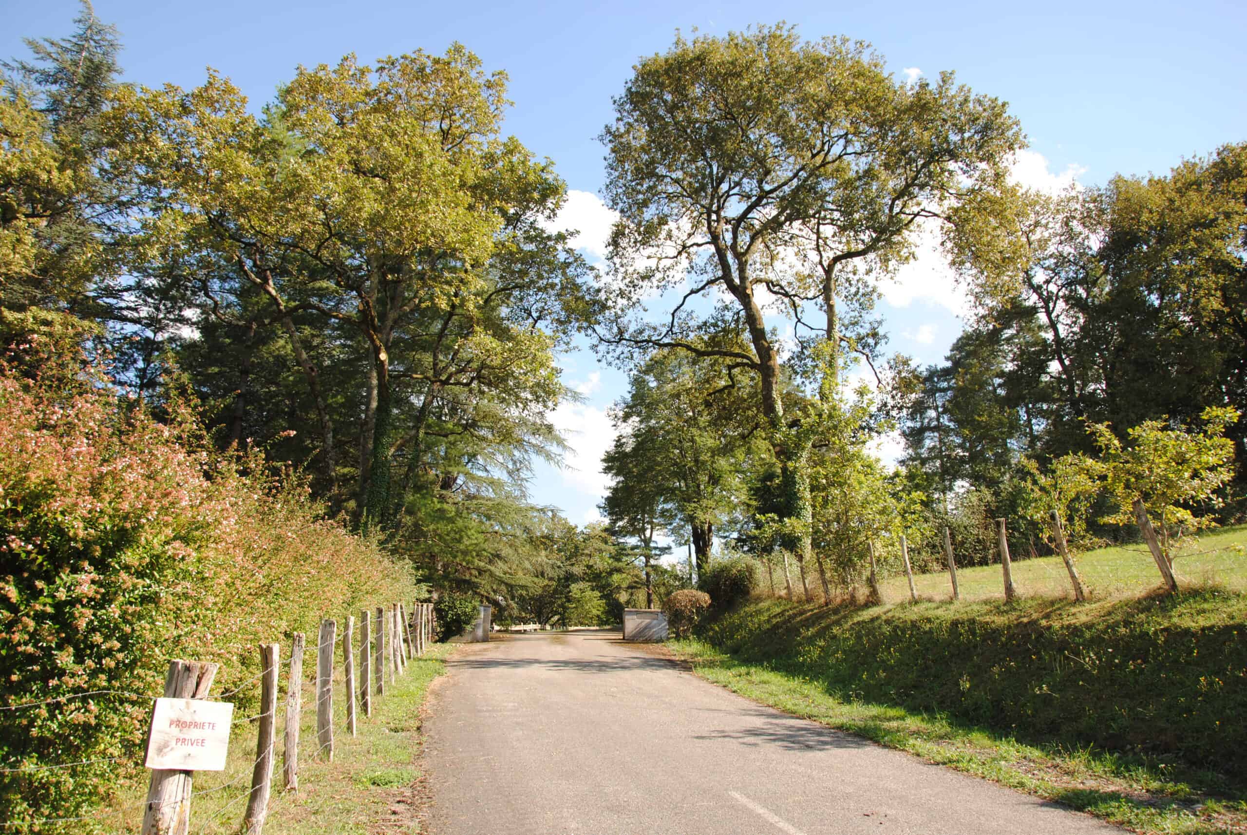 Doctor Tree élagage Pays Basque & Landes